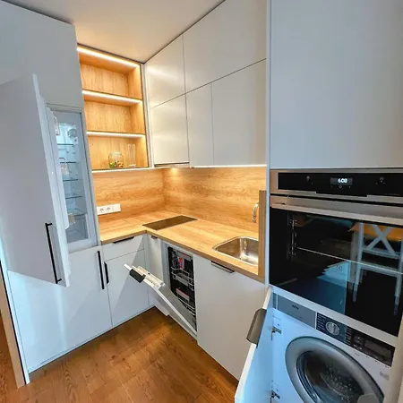 Apartment In The Heart Of Vilnius
