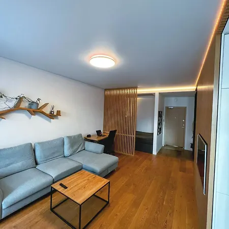 In The Heart Of Apartment Vilnius